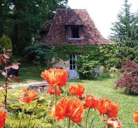 Petite Maison En Perigord Noir Plazac Exterior foto